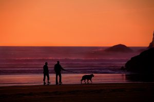two people walking a dog on the beach